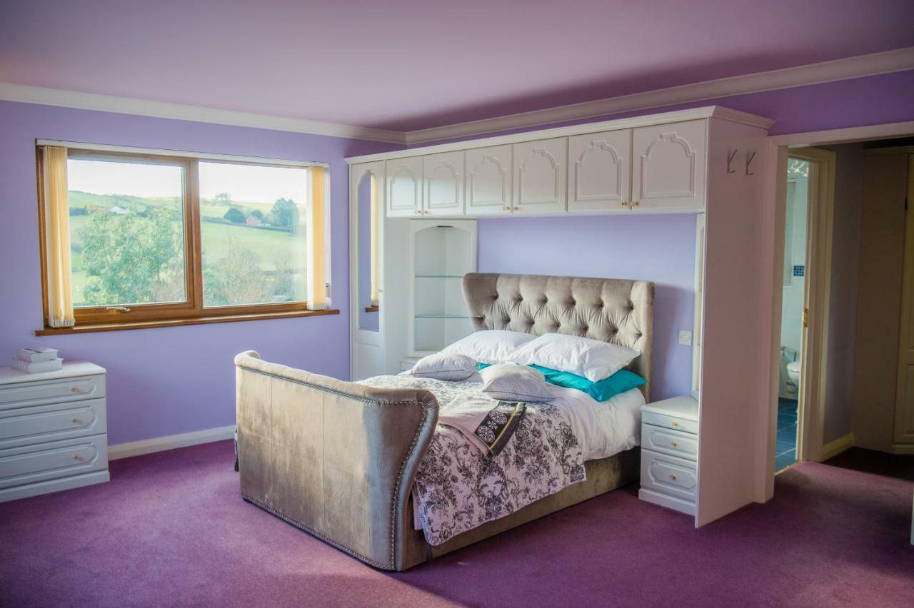 Y Grange Bed & Breakfast Llanfihangel-y-Creuddyn Ngoại thất bức ảnh